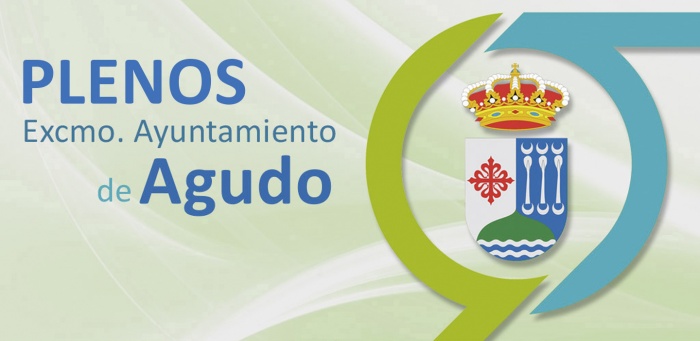 Plenos del año 2026